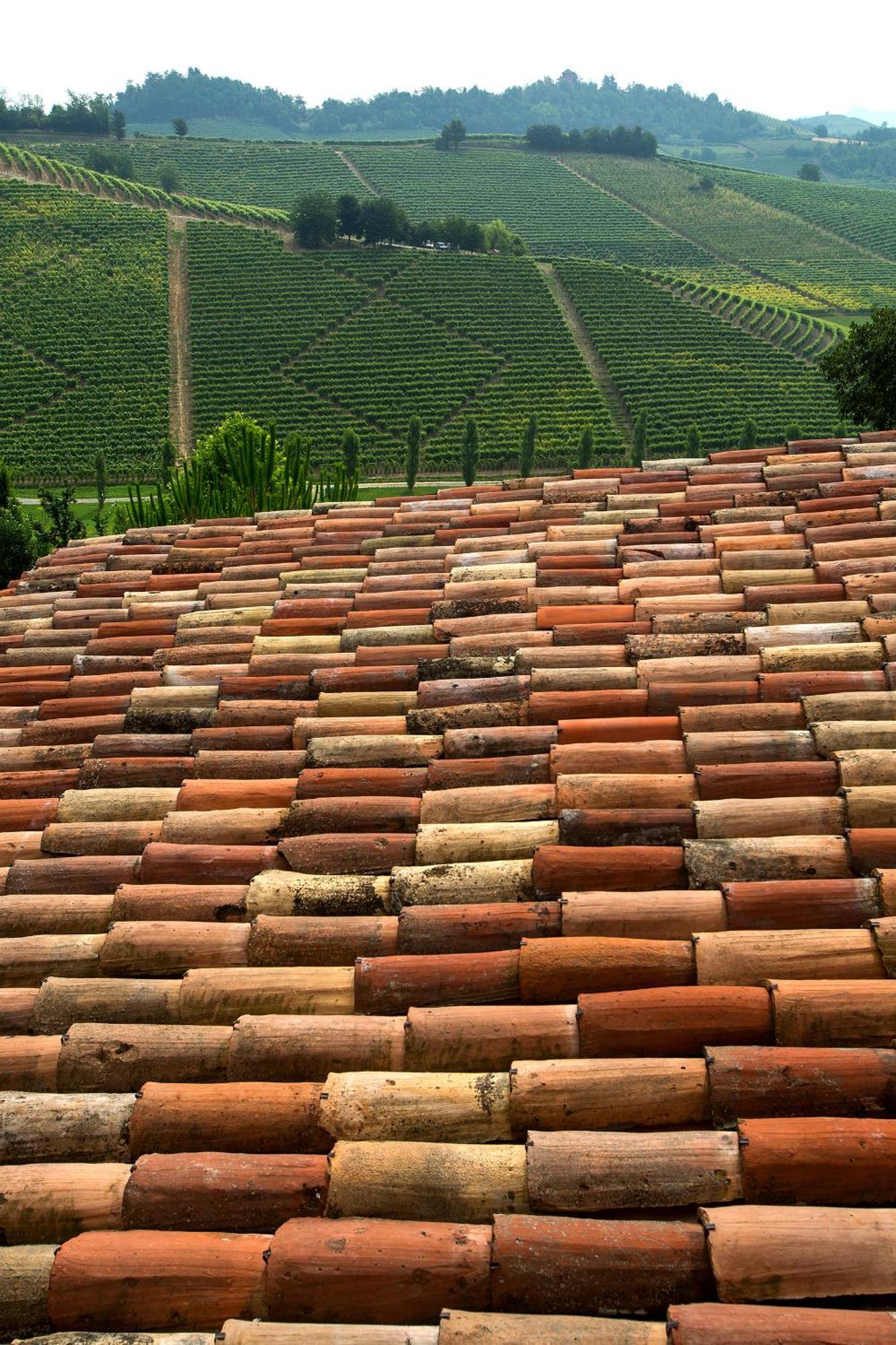 Relais Di Tenuta Santa Caterina B&B Grazzano Badoglio Rom bilde