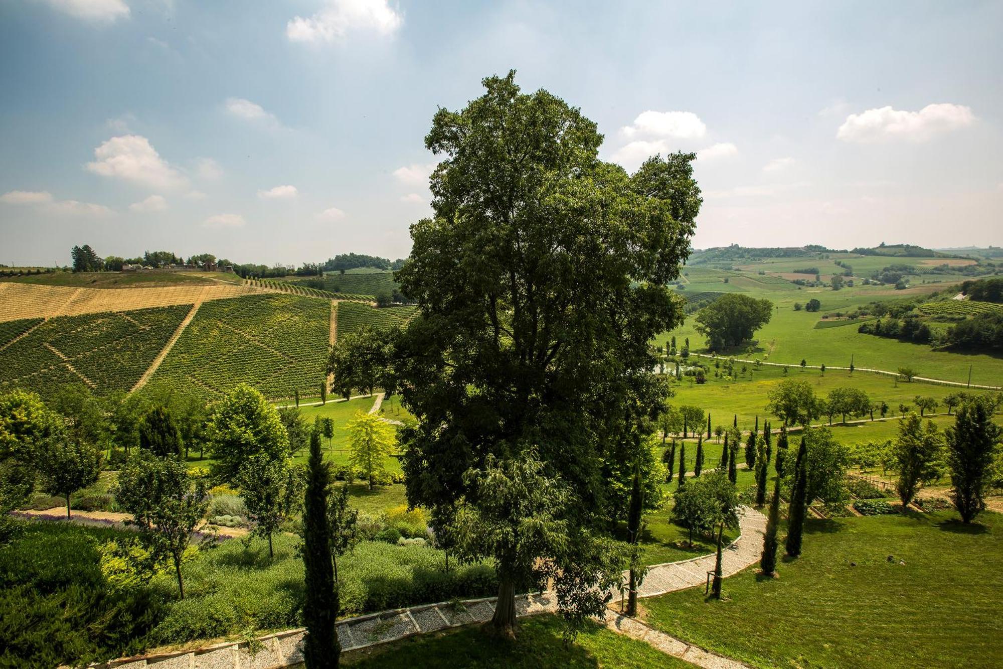 Relais Di Tenuta Santa Caterina B&B Grazzano Badoglio Rom bilde